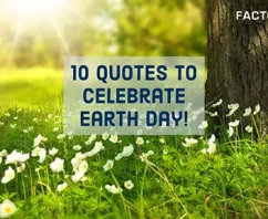 10 Quotes to Celebrate Earth Day!