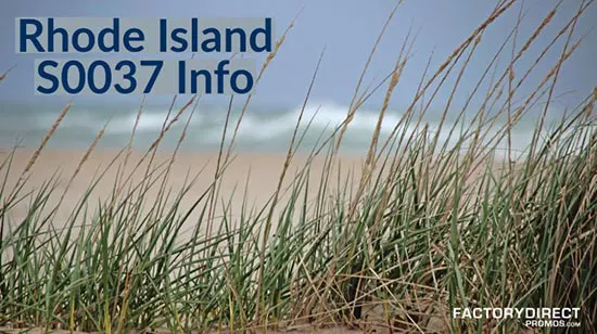 Close up of beach grass in rhode island