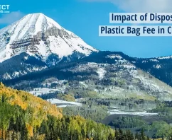Plastic Bag Fee Makes a Big Impact in the Centennial State