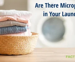 Are There Microplastics in Your Laundry?