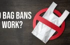 Disposable Plastic Bag Bans Work
