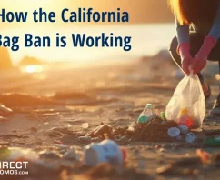 How California’s Plastic Bag Ban is Working