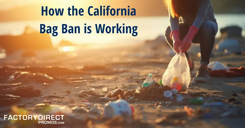 Person cleaning up plastic and other beach litter.